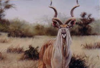 "Kudu"