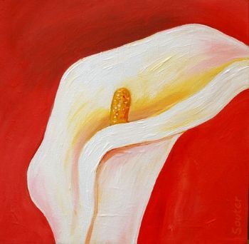 "Arum Lily"