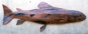 "Must be a brown trout"