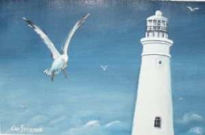"Lighthouse Cape St. Francis"