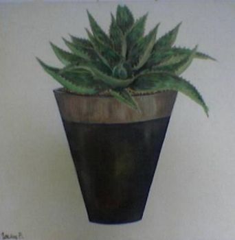"Cacti 2"