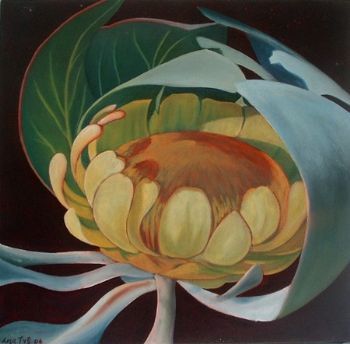 "Protea 1"