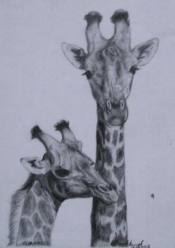 "Giraffe Heads"