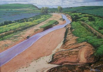 "Moorreesburg Farmstream Western Cape"