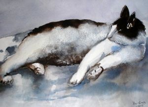 "Lazy Cat"