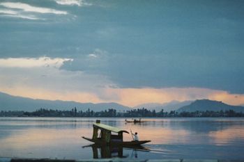 "Tranquility on Dhal Lake"