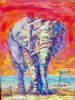 "Sunset elephant"