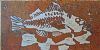 "Lino Fish 2"