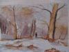 "Snowy Forest"