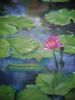 "Water Lilly"