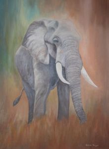 "Elephant Portrait"