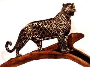 "Millennium Leopard"