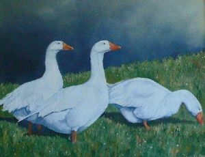 "Glodiens Geese"