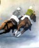 "Polocrosse Rideoff"