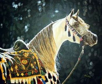 "Arab Horse"