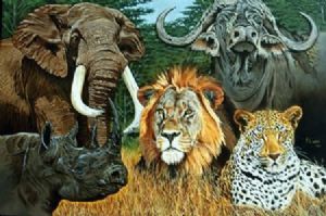"Big 5"