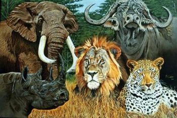 "Big 5"
