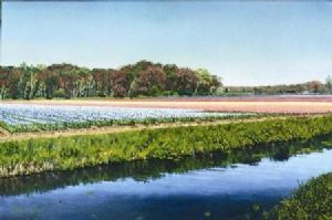 "Near Amsterdam"