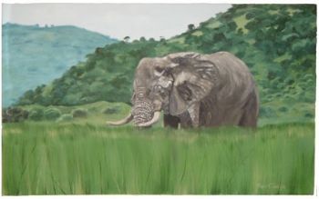 "Elephant 02"