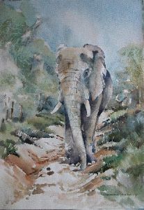 "Lone Elephant at Thembe"