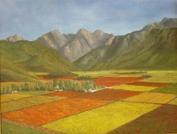 "Hex River Farmland"