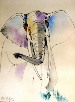 "Ivory"