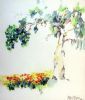 "Highveld Image"