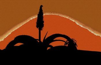 "Aloe Silhouette"
