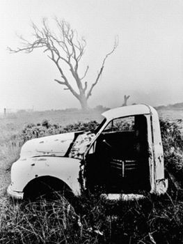 "Chev Apache"