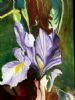 "Irises"