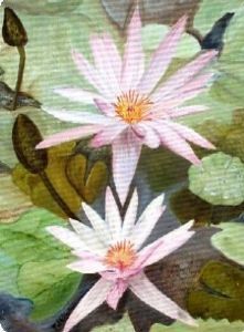 "Waterlilies"