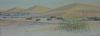"Namib Dunes Nara"