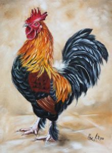 "Rooster 4"