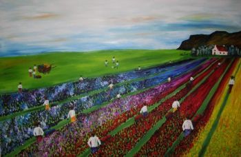 "Tulip Farm 1 "