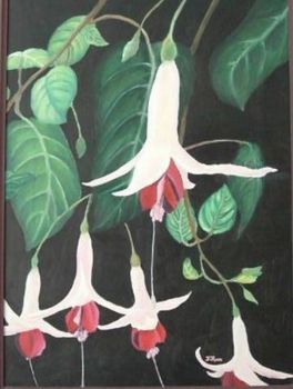 "Fuschias"