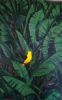 "Yellow Bird RESERVED"