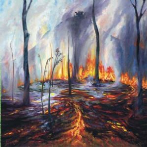 "Fire at Schoenmakerskop"