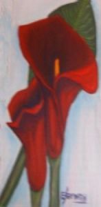 "Dream Red Lilly"