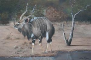 "Nyala at Waterhole"