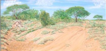 "Bushveld Scene, South Africa"