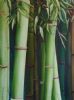 "Bamboo"