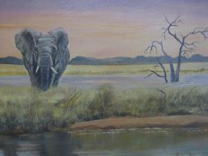 "Elephant Sunset"