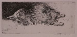 "Plover Chick"