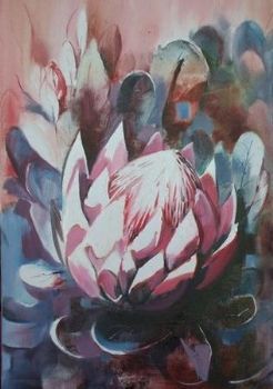 "White giant protea"