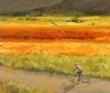 "Vineyard Cyclist"