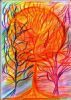 "Light of Love"