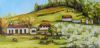 "Springtime in the Overberg"