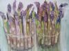 "Bunches-a-Asparagus"