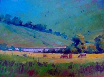 "Cows Near Underberg, South Africa"