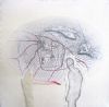 "Mapping Ancestral paths"